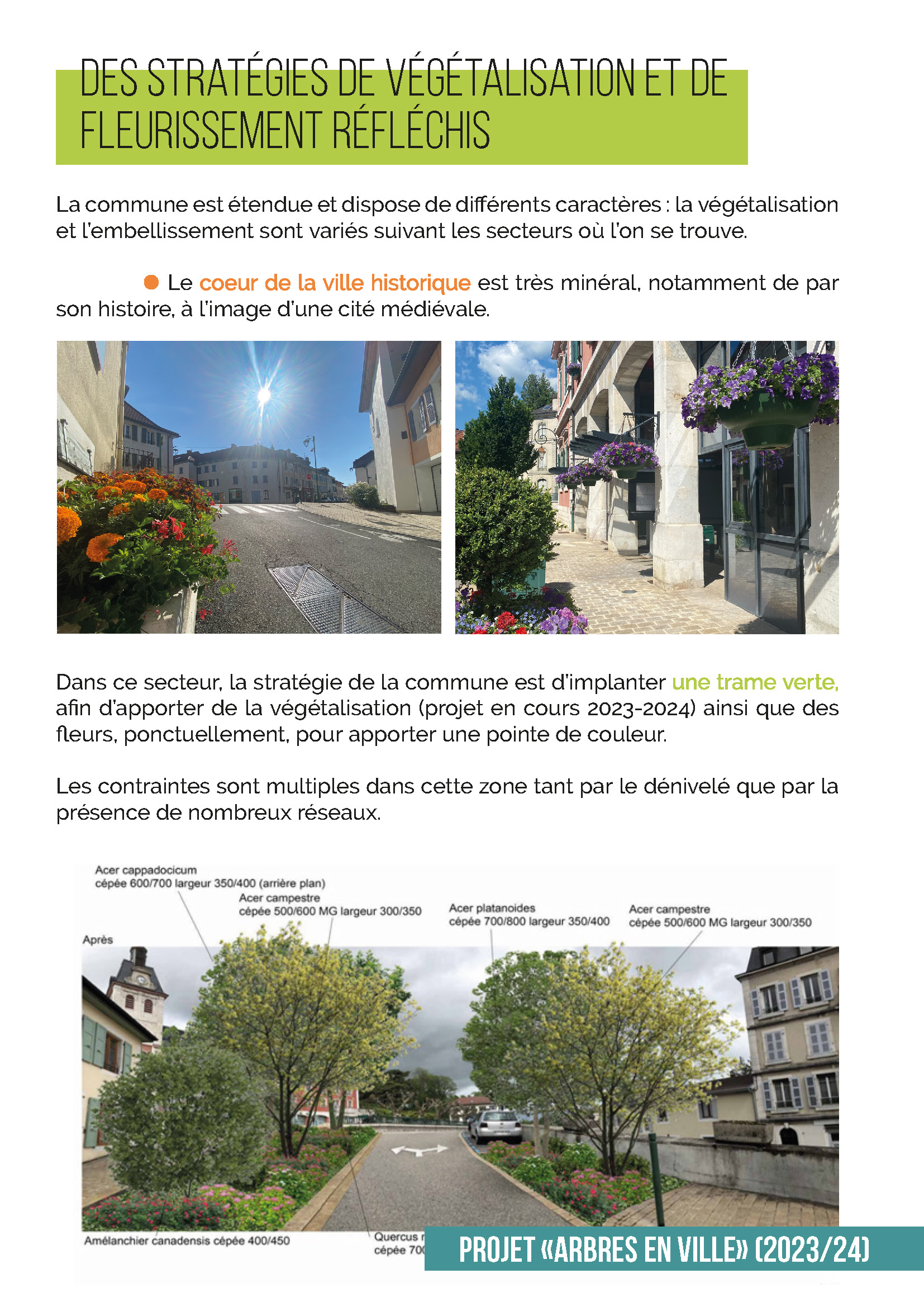 Dossier fleurissement pdf 2023_Page_12