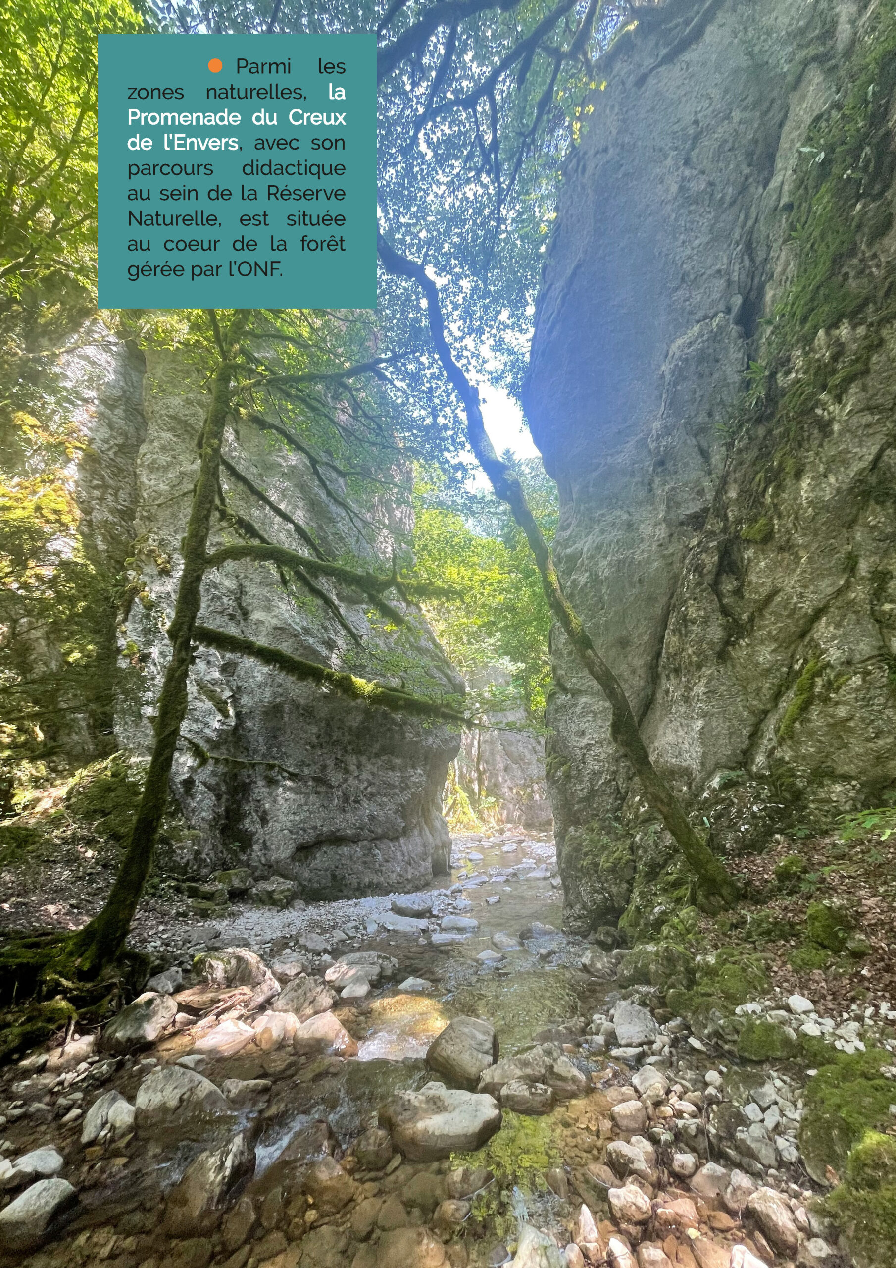 Dossier fleurissement pdf 2023_Page_15