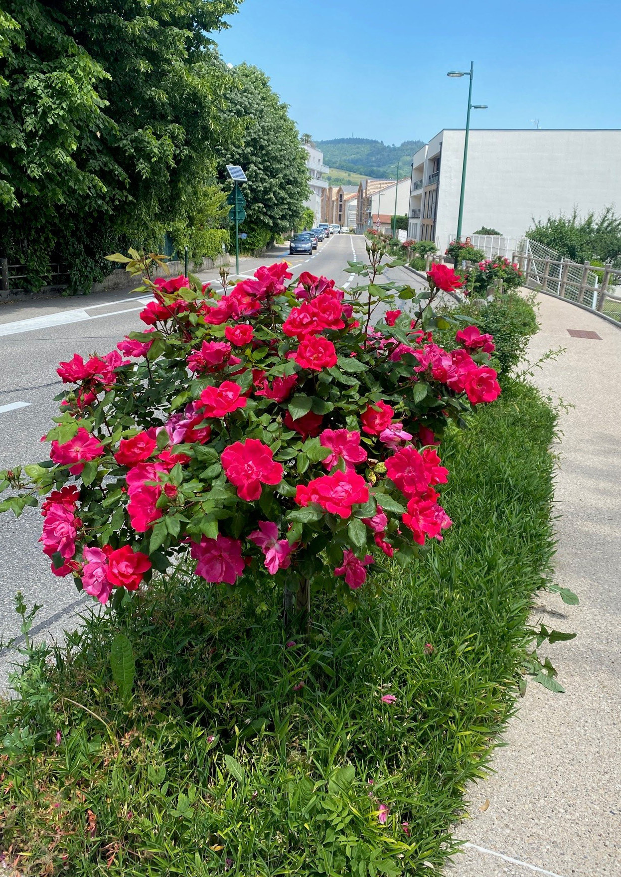 Dossier fleurissement pdf 2023_Page_24