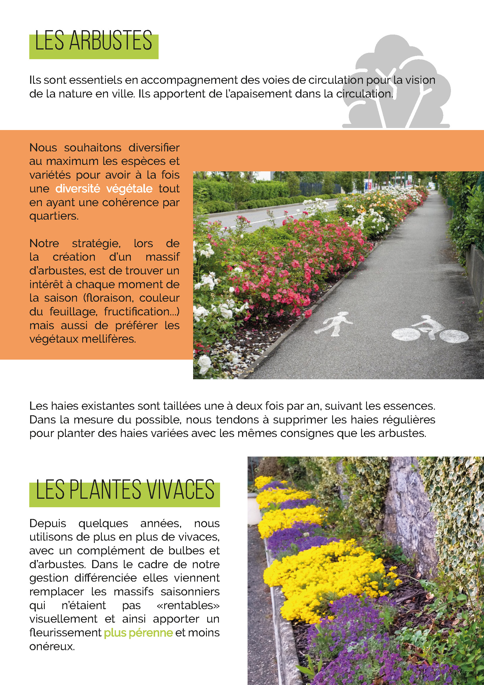 Dossier fleurissement pdf 2023_Page_28